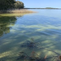 Photo by Outlaw Industries Australia