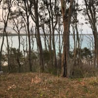 Photo by Benjamin A.