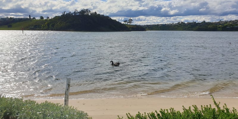 Photo by Hi there we are currently traveling.