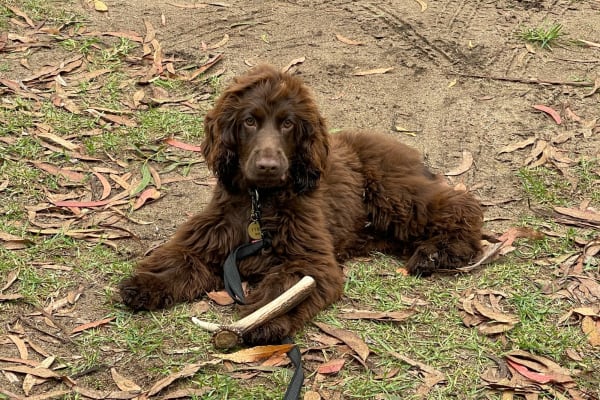 Photo by Clarissa W.