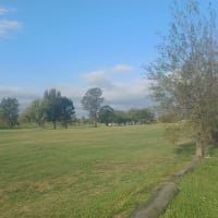 Photo by ★Mimosa☆Turlinjah★