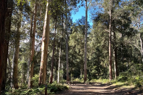 Photo by Eivi from Estonia