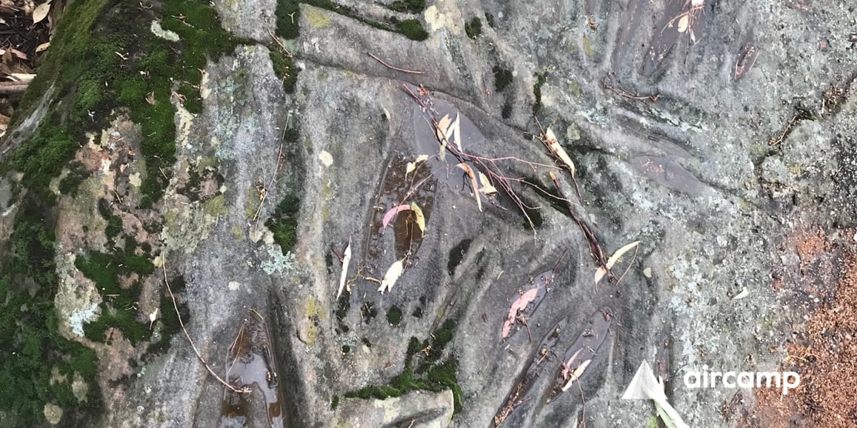 Terramungamine Reserve