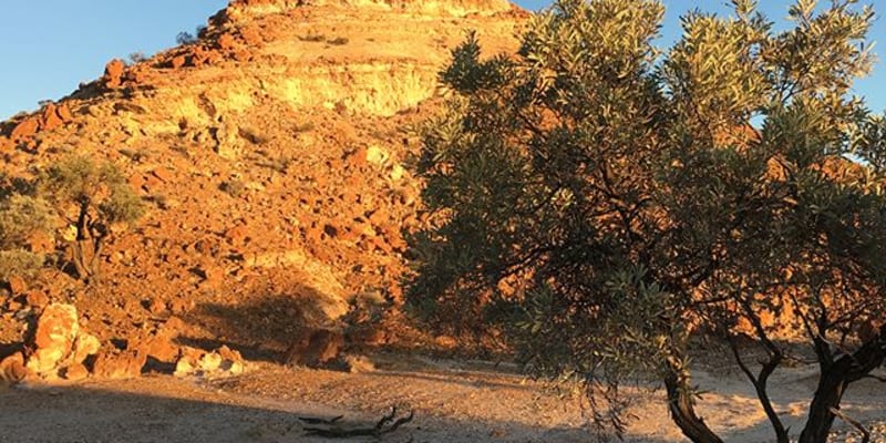 Photograph of 3 campgrounds with toilets and rainwater near Anatye, NT