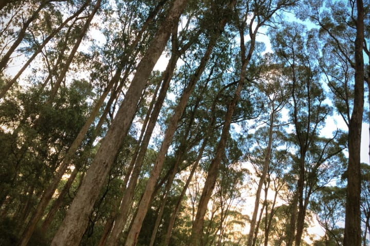 Photo by Theo Janse van Nieuwenhuizen