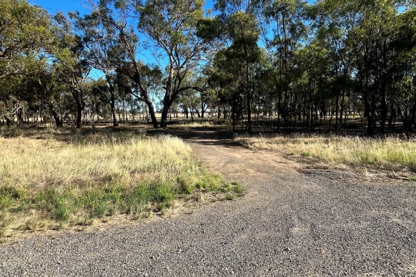 Photo by DaveDuff    CampInNature