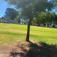 Photo by Ranjeet Singh Gill