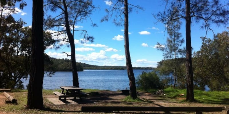 Photo by Tracy N David Ross