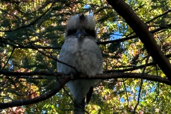 Photo by Isabel Torres Dee