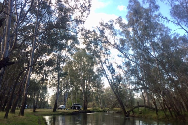 Photo by Karen Ann Richardson