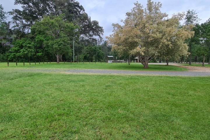 Photo by Mitchell B.