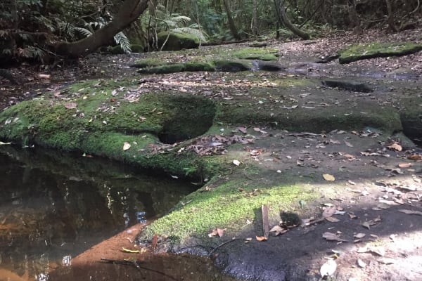 Photo by Margaret McNeill Ljubicic