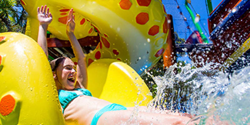 Photo by Marketing T.