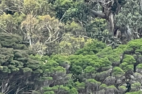 Photo by Kristina D.