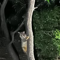 Photo by Ben + Elana