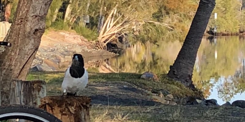 Photo by Margaret McNeill Ljubicic