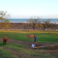 Photo by My Rig Adventures