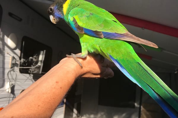 Photo by Donna Shayne Wilkes