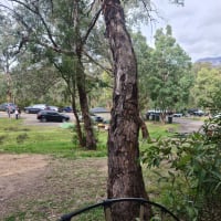 Photo by Stephanie L.