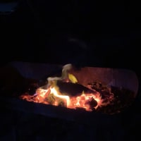 Photo by Cristina B.