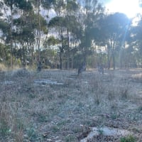 Photo by Katherine B.