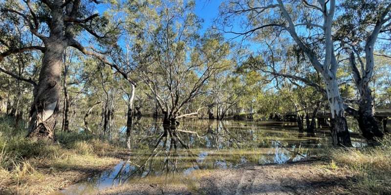 Photo by DaveDuff    CampInNature