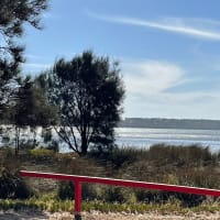 Photo by Adrienne C.