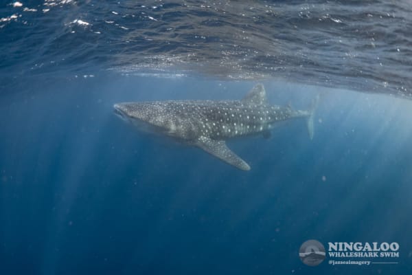 Photo by Patricia R.