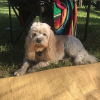 Photo by Sixpence C.