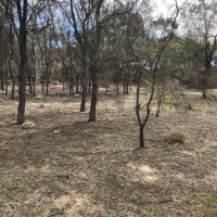 Photo by Christine W.