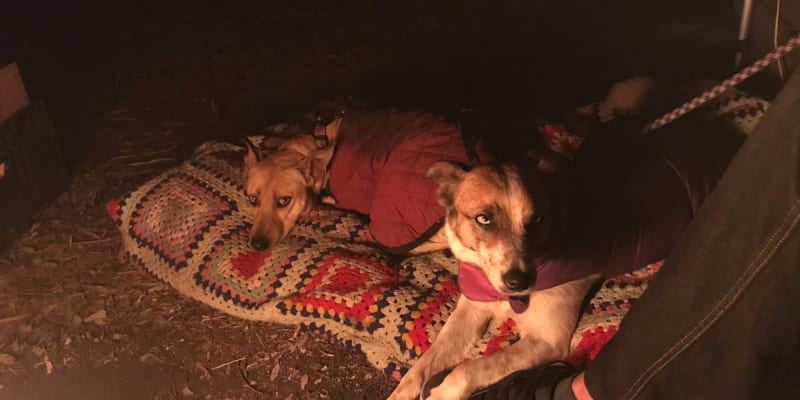 Photo by Brittany P.