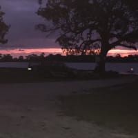 Photo by Michelle C.