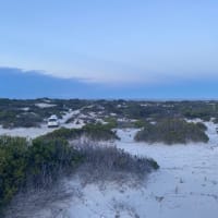 Photo by Elisabeth D.