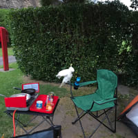 Photo by Genevieve R.