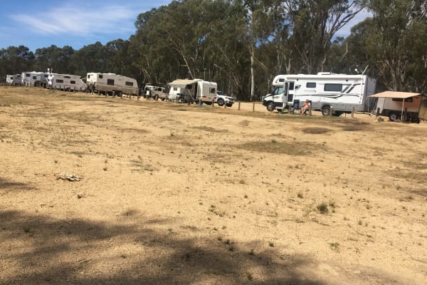 Photo by Lisa Brown White