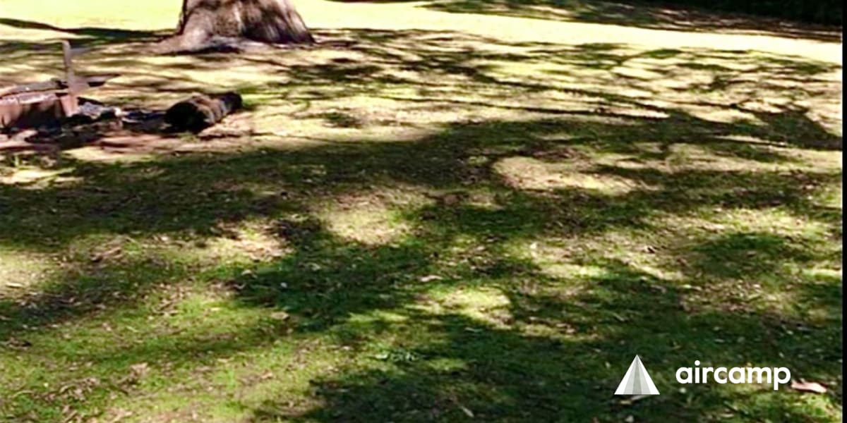 Dingo Tops campground