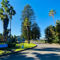 Photo by Krishantha E.