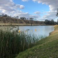 Photo by Amanda Jain Hornett