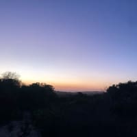 Photo by Brucethegoose