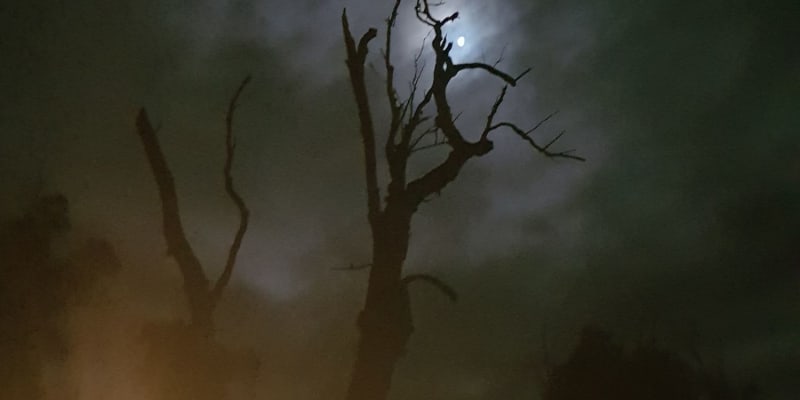 Photo by Connie de Koning