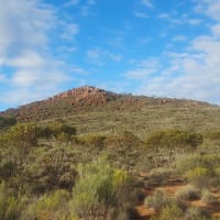 Photo by Nickolas S.