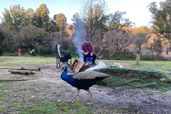 Photo by Hadleigh S.