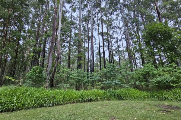 Photo by Christie B.