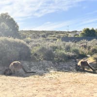 Photo by Chelsea and Jye