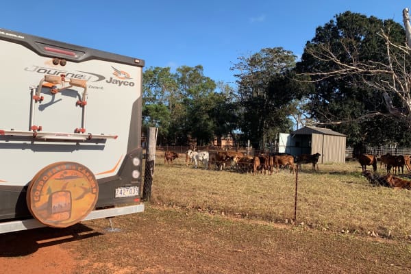 Photo by Corporate to Caravan