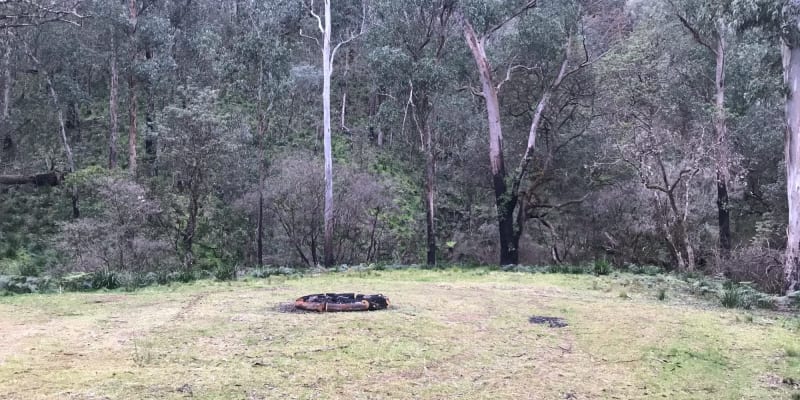 Photo by Debbie McCaffrey Walkerden