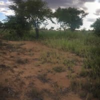 Photo by Tse Hsuan Chin