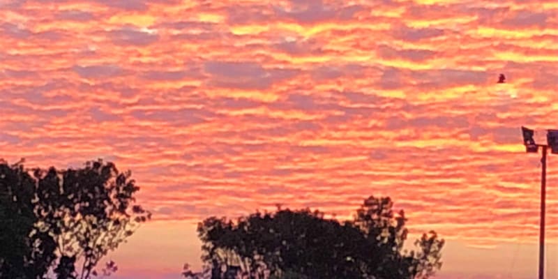 Photo by Robbie Robbins Reserve