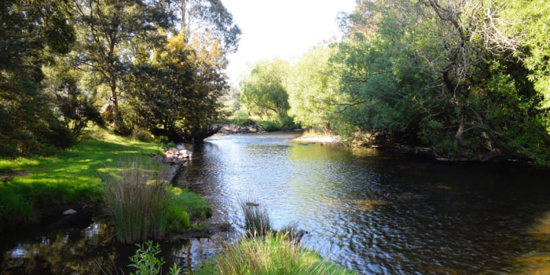 Photo of Myrtle Park Camp Area