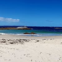 Photo by Olivia Bataligin Averkin